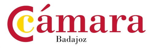 Programa de Comercio Minorista de selección de PYMES y autónomos para el desarrollo de Diagnósticos de Innovación Comercial de la provincia de Badajoz